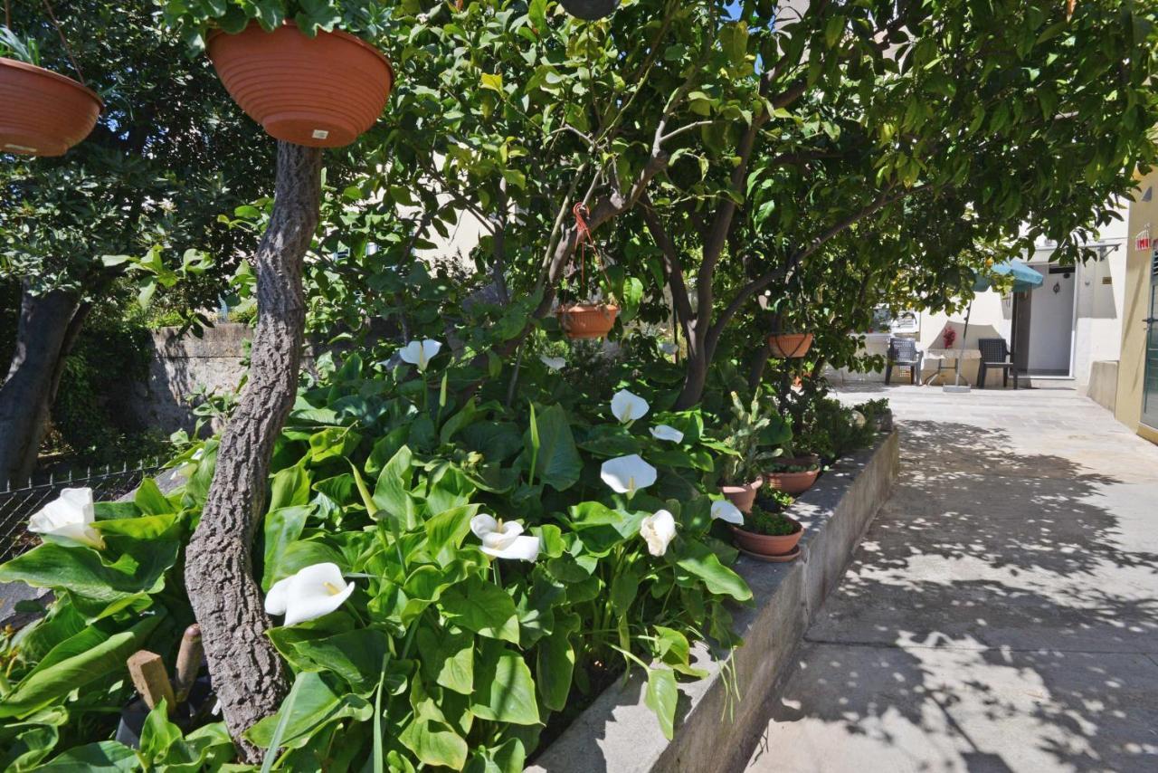 Guesthouse Manda ดูบรอฟนิก ภายนอก รูปภาพ