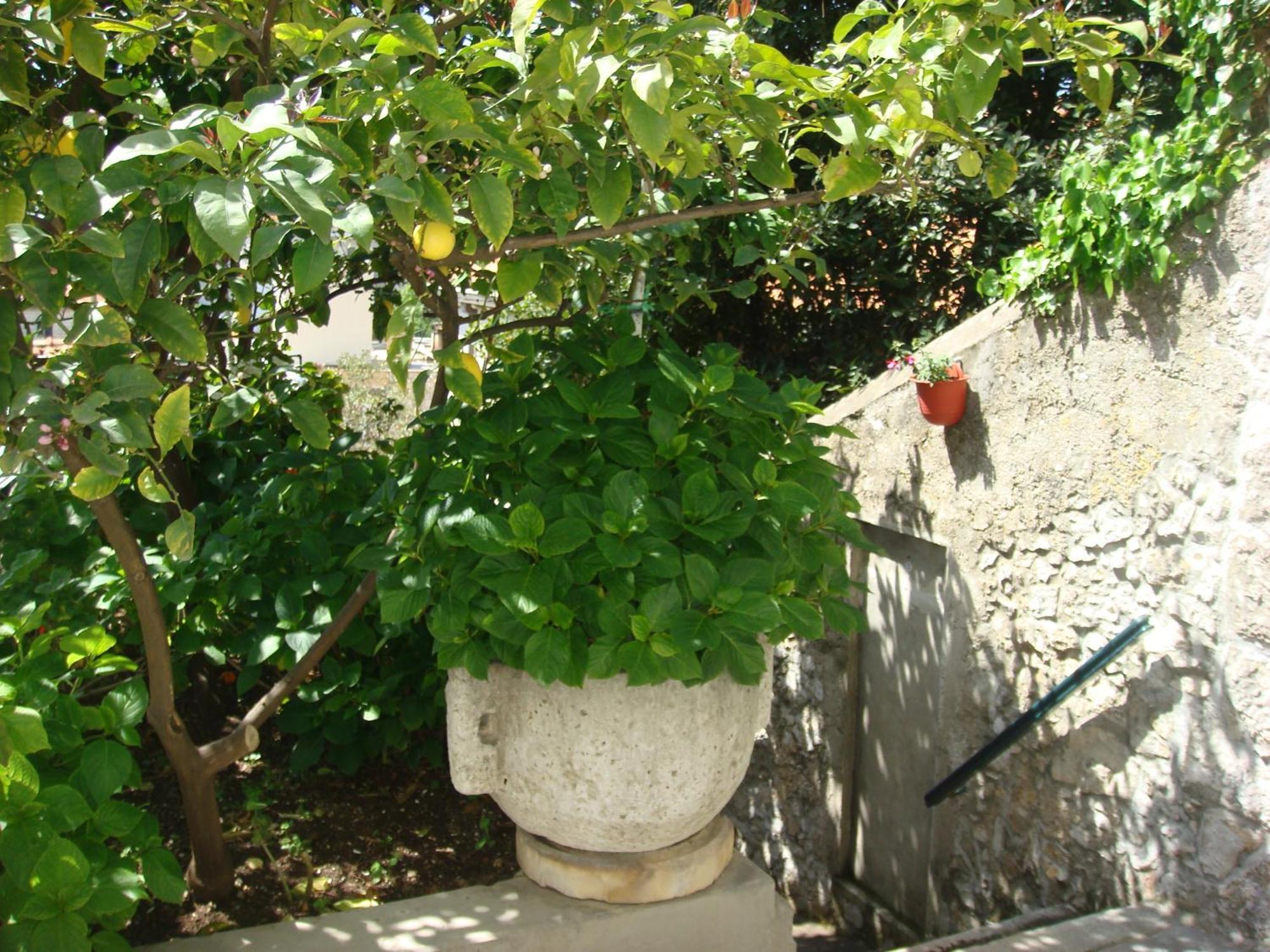 Guesthouse Manda ดูบรอฟนิก ภายนอก รูปภาพ